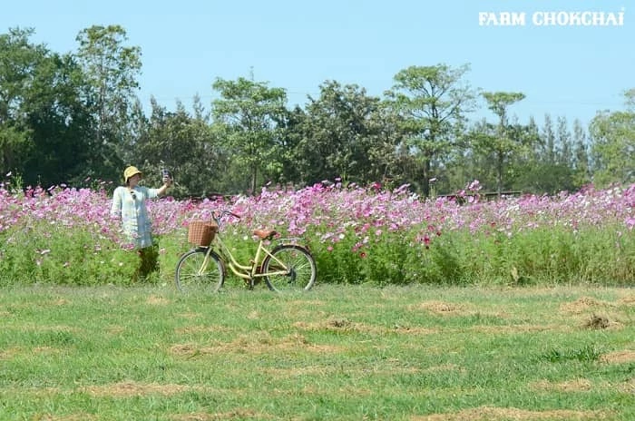 ที่เที่ยวแถวเขาใหญ่, ที่ถ่ายรูปเขาใหญ่