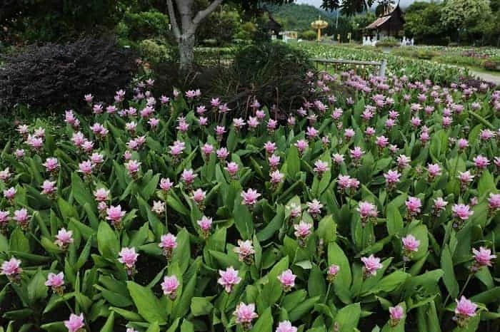 เที่ยวธรรมชาติ เชียงใหม่, สถานที่ท่องเที่ยวธรรมชาติเชียงใหม่