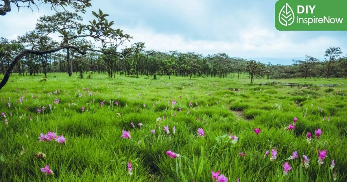 ชัยภูมิ ที่เที่ยวใหม่, ชัยภูมิ ที่เที่ยว