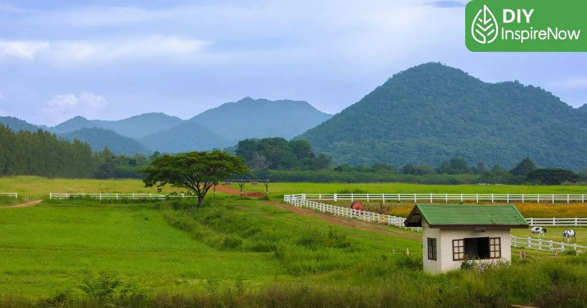 ที่เที่ยว โคราช ปากช่อง, นครราชสีมา ที่เที่ยว